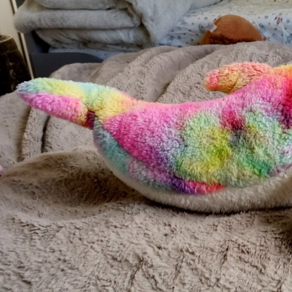 Rainbow dolphin